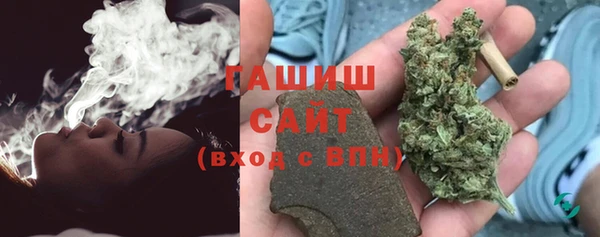 индика Верхний Тагил